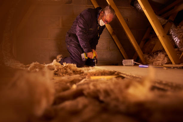 Best Eco-Friendly Insulation in Wynne, AR